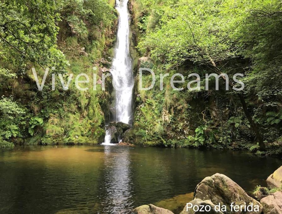 Villa Viveiro Dreams Exterior foto